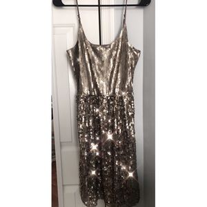 Express Gold Sequin Dress
